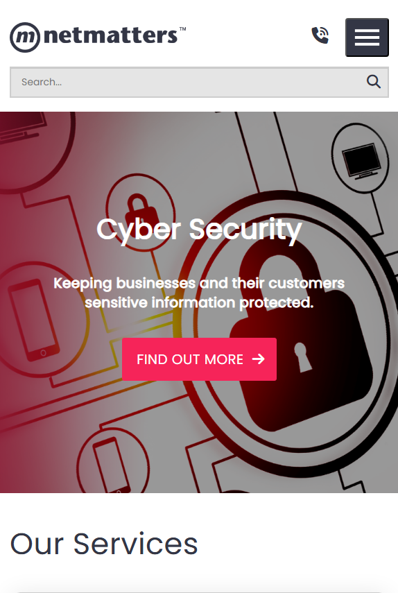 An image of the Netmatters website